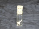 Liliput mini im Glas Ahorn