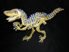 Velociraptor 3D Puzzle