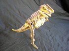 Tyrannosaurus 3D Puzzle