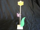 Schmetterlingsblume gelb orange